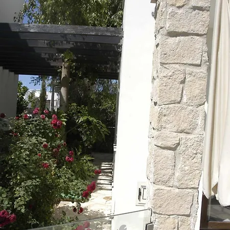 Summer Breeze * Παραλίμνι