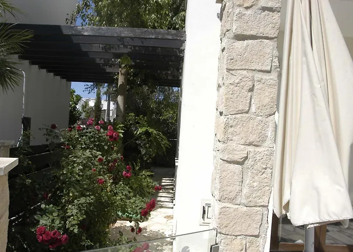 Summer Breeze * Paralimni